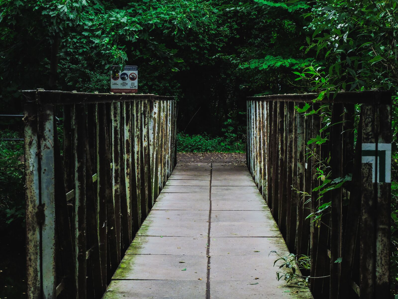 Nikon Coolpix P600 sample photo. Background, bridge, dark forest photography