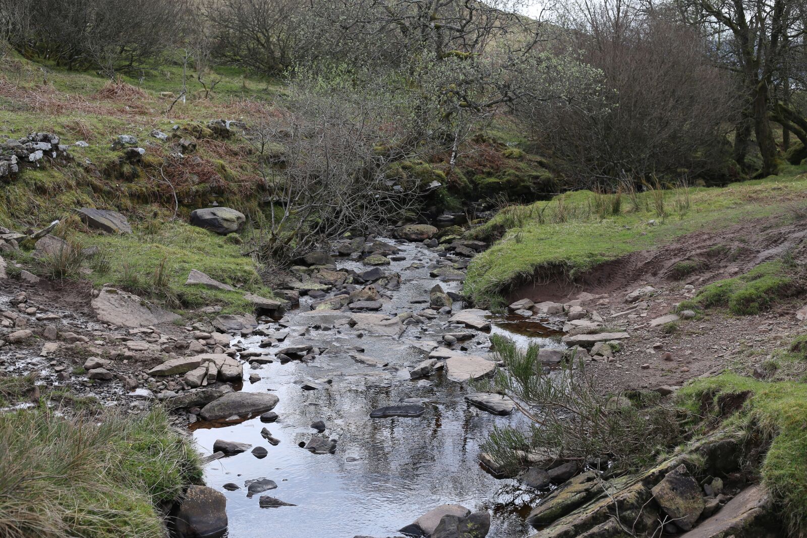 Canon EF 50mm F1.8 STM sample photo. Stream, river, water photography