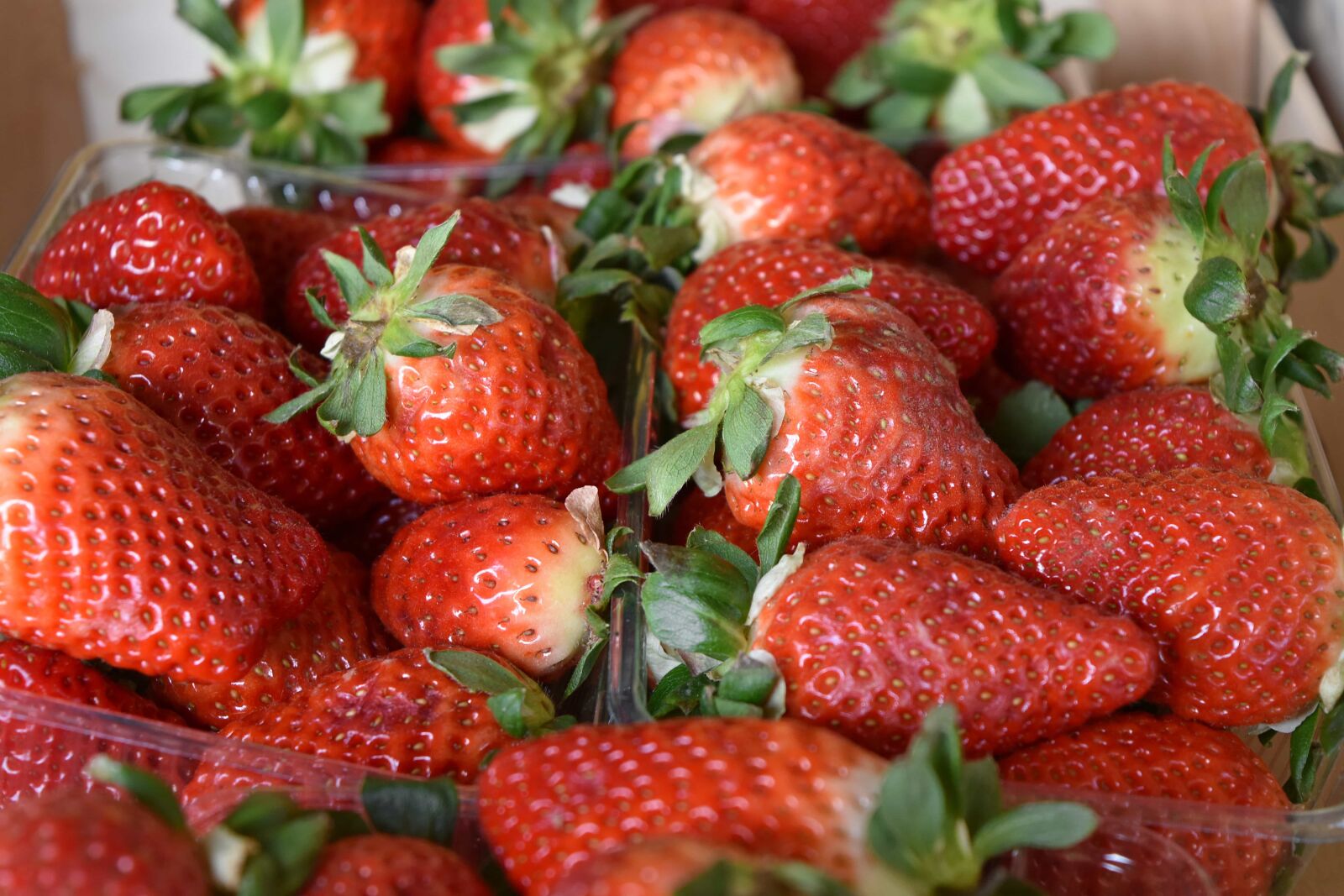 Nikon D5500 sample photo. Healthy, fruit, food, berry photography