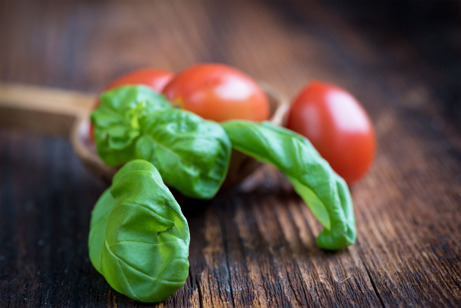 Nikon D750 sample photo. Basil, green, spice photography