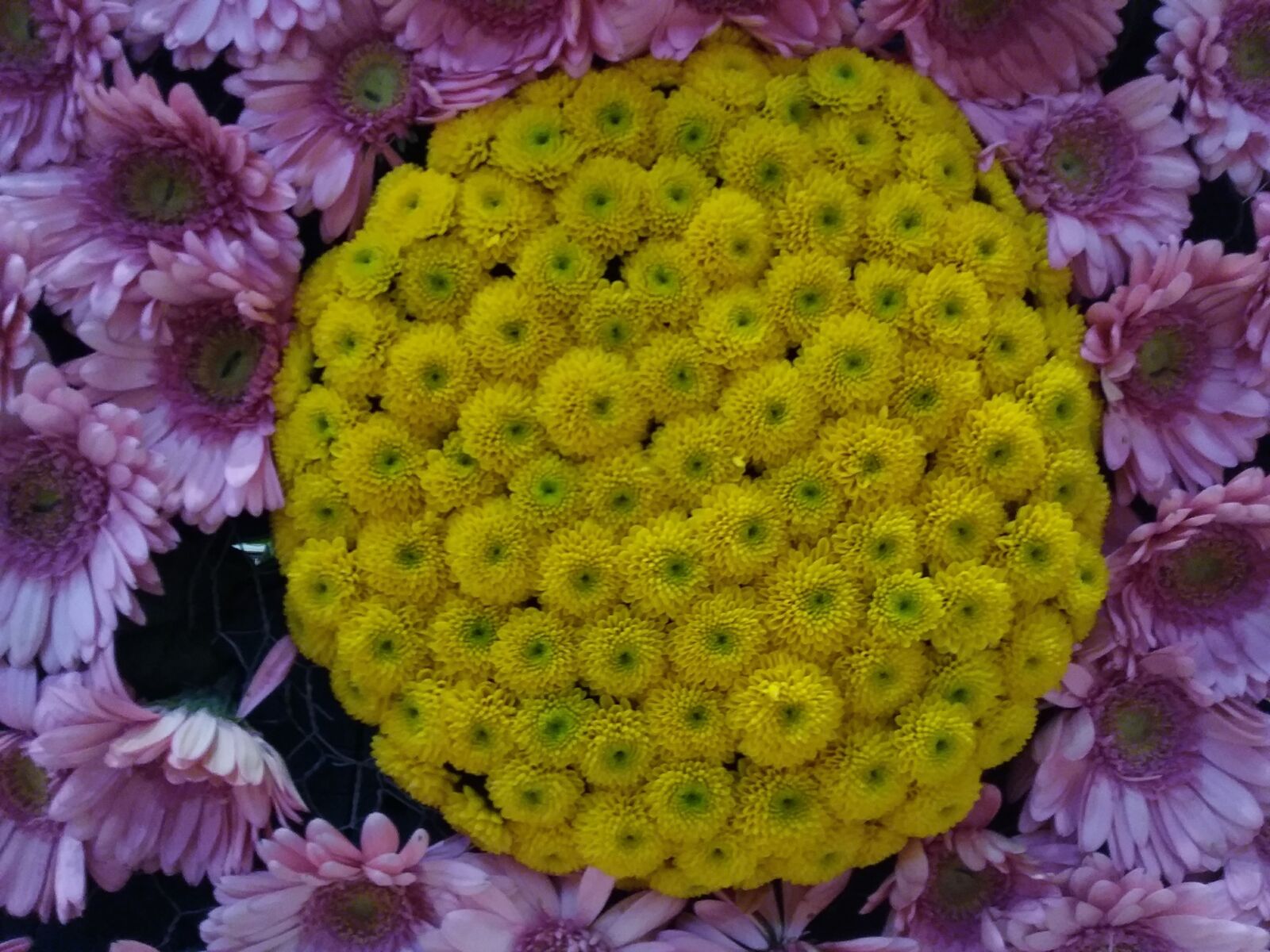 Samsung Galaxy J3(2016) sample photo