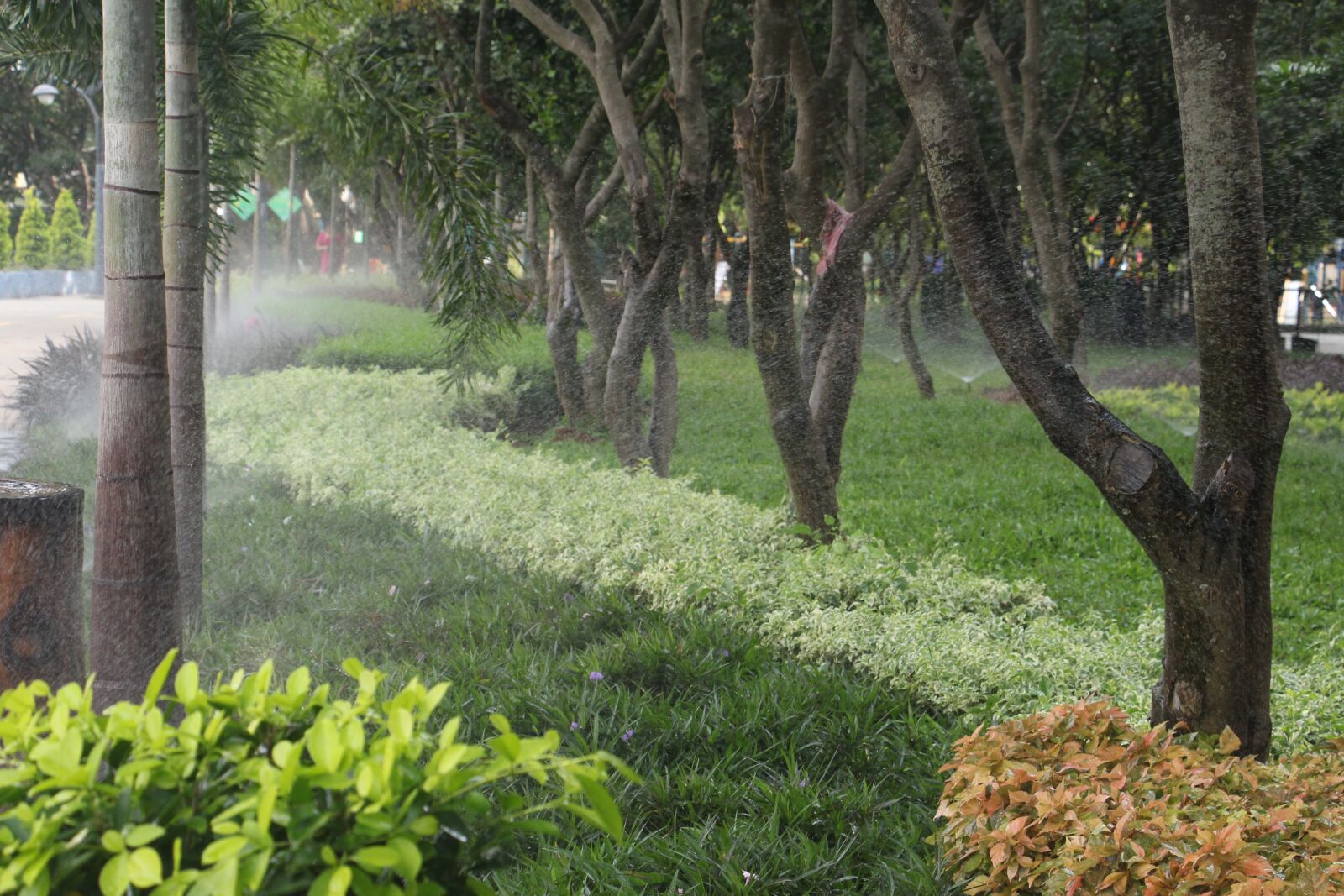 Canon EOS 700D (EOS Rebel T5i / EOS Kiss X7i) sample photo. Garden, sprinkler, gardening photography
