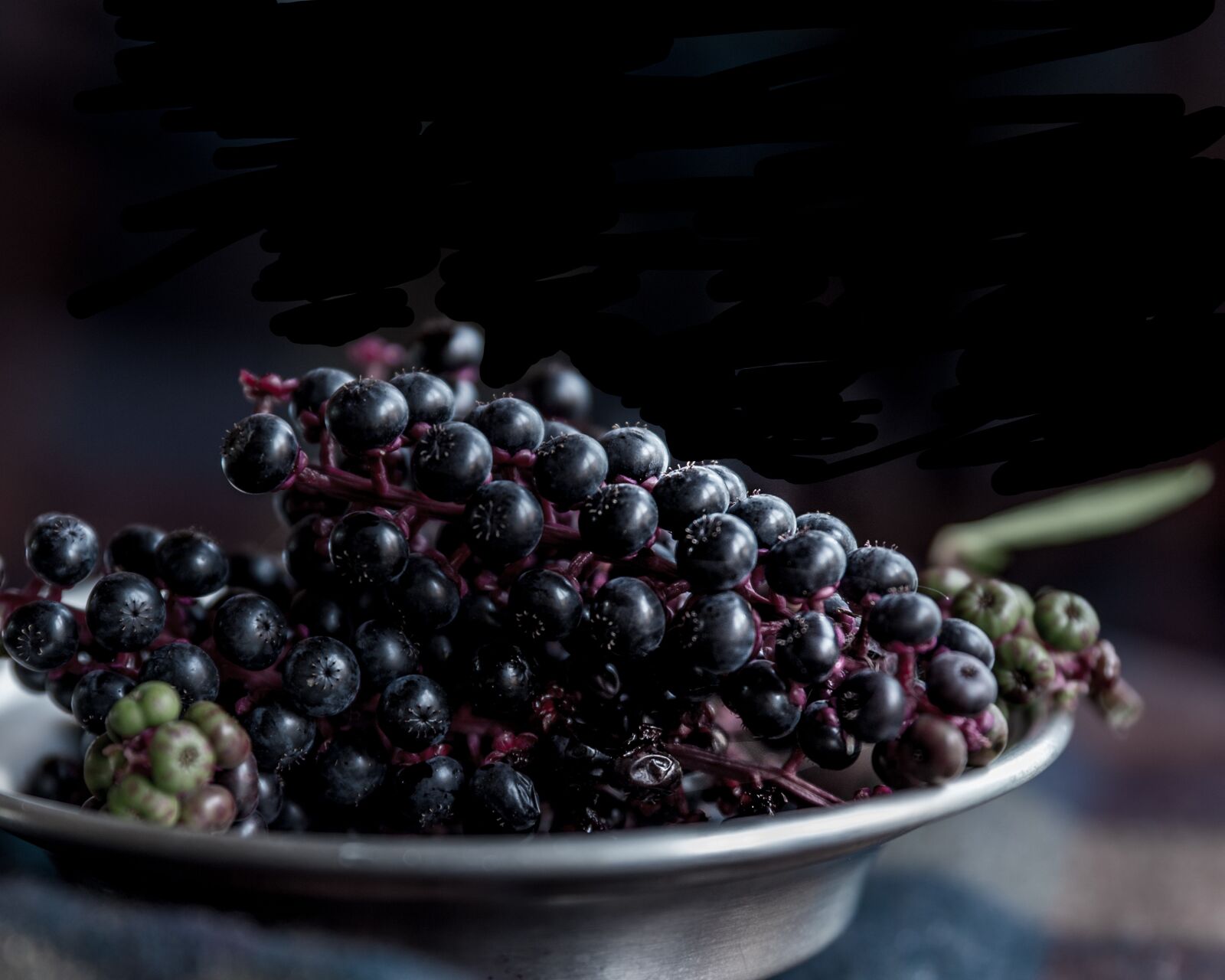Nikon Df sample photo. Wild, fruit, organic photography