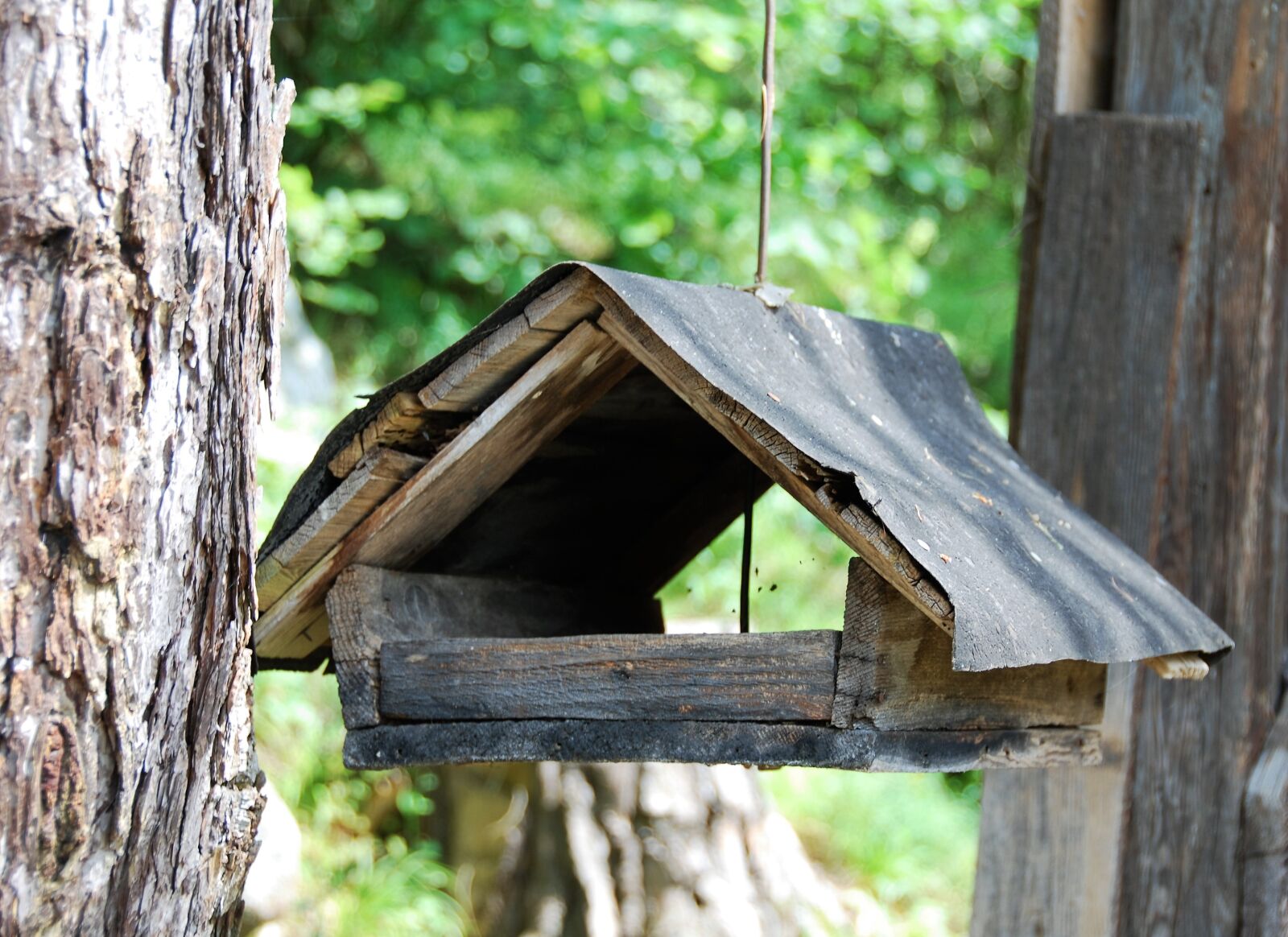 Nikon D80 sample photo. Bird feeder, old, woods photography