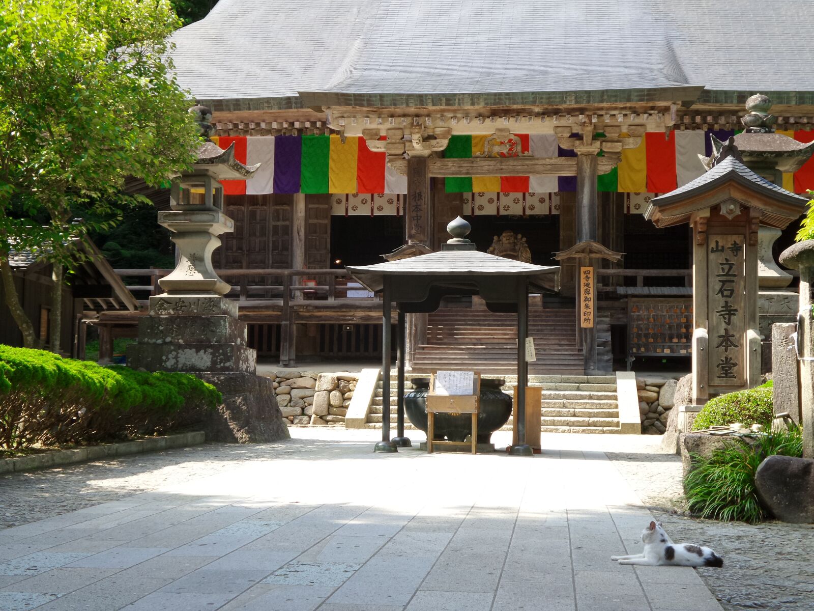 Samsung Galaxy K Zoom sample photo. Temple, cat, yamadera photography