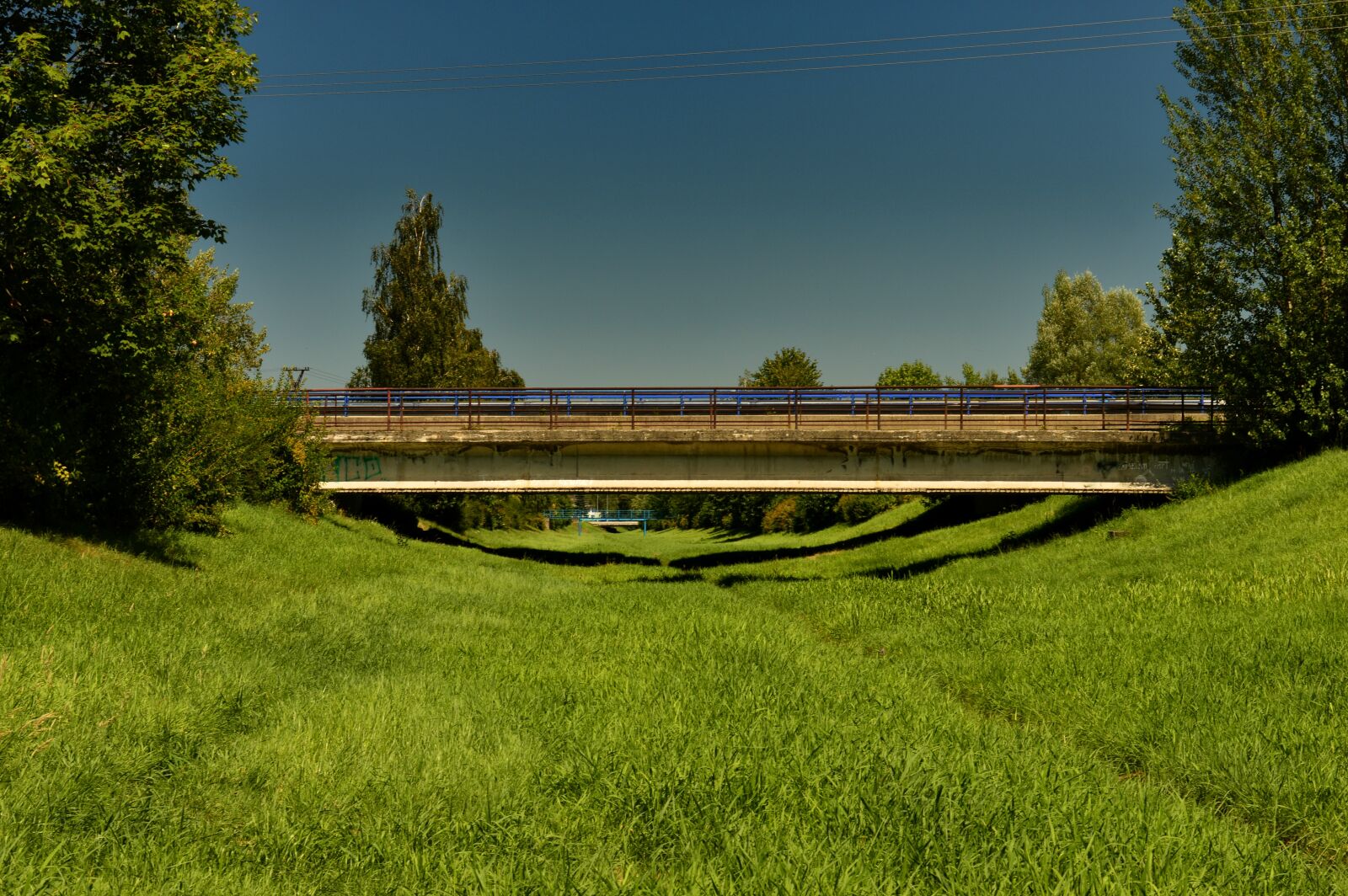 Nikon D3200 sample photo. Nature, bridge, grass photography
