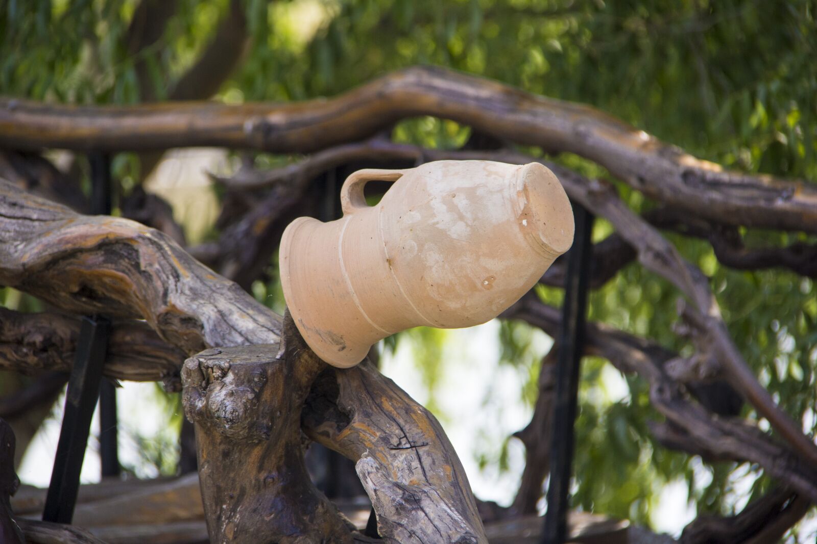 Canon EF-S 18-200mm F3.5-5.6 IS sample photo. Nature, tree, wood photography