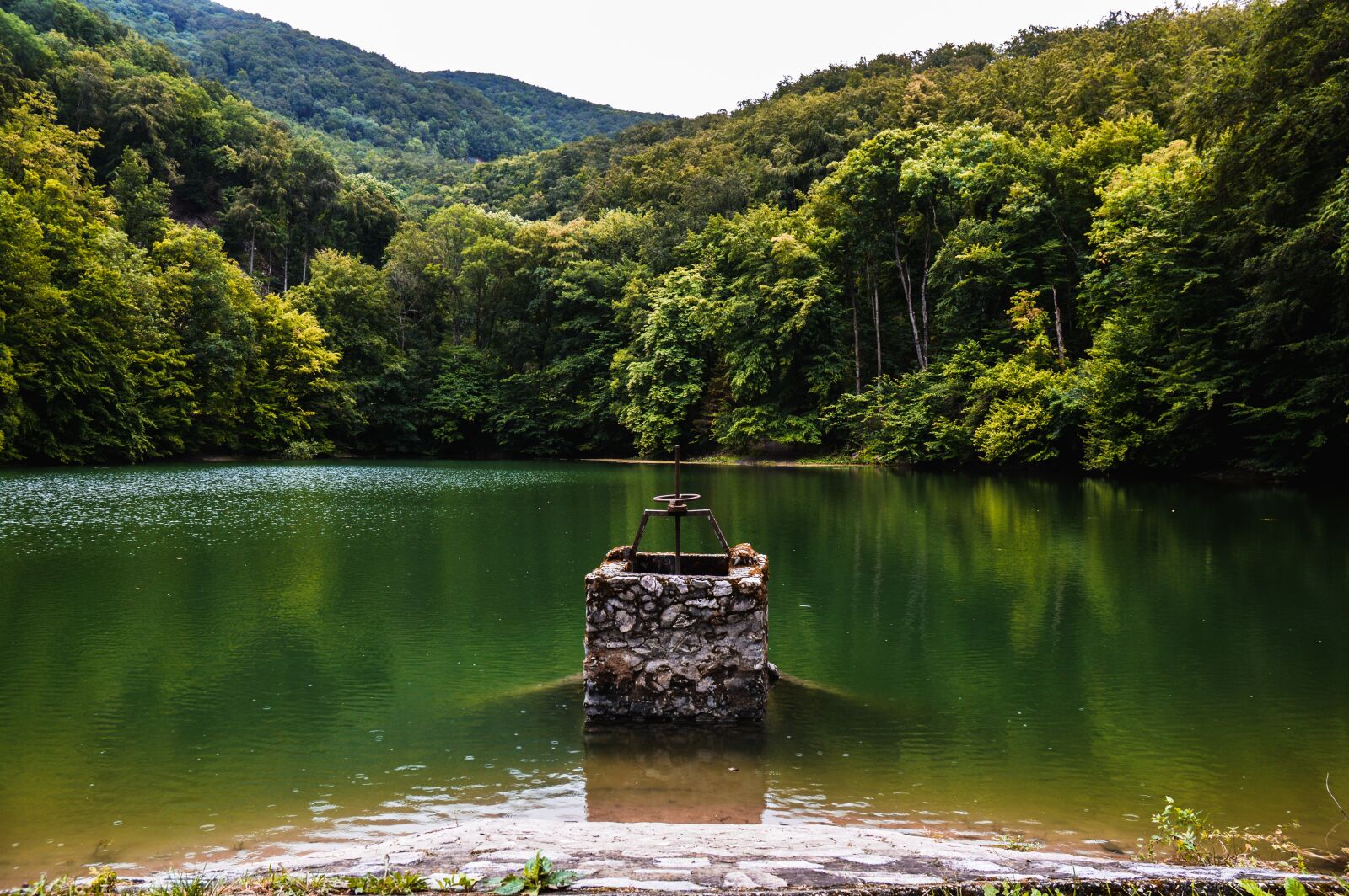 Nikon D3200 sample photo. Lake, trees, water photography