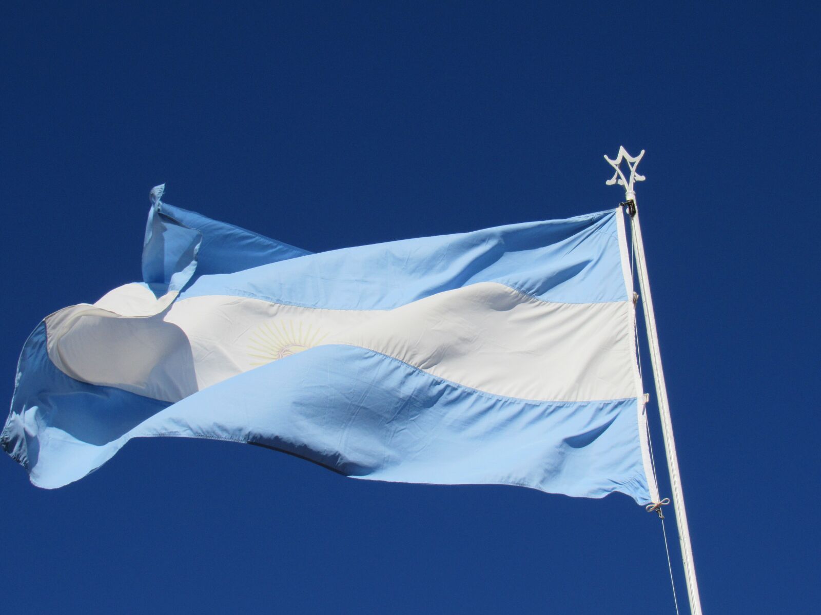 Canon PowerShot SX530 HS sample photo. Argentina flag, wave, celeste photography