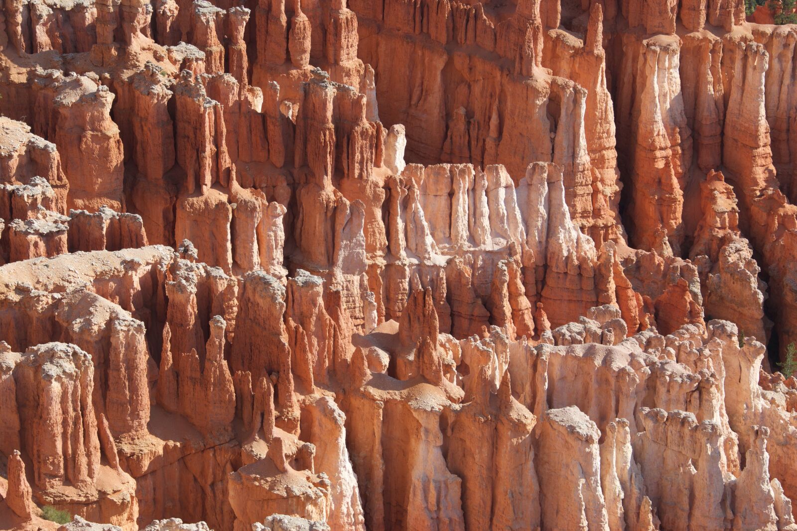 Canon EOS-1D X + Canon EF 28-300mm F3.5-5.6L IS USM sample photo. Bryce canyon, usa, landscape photography