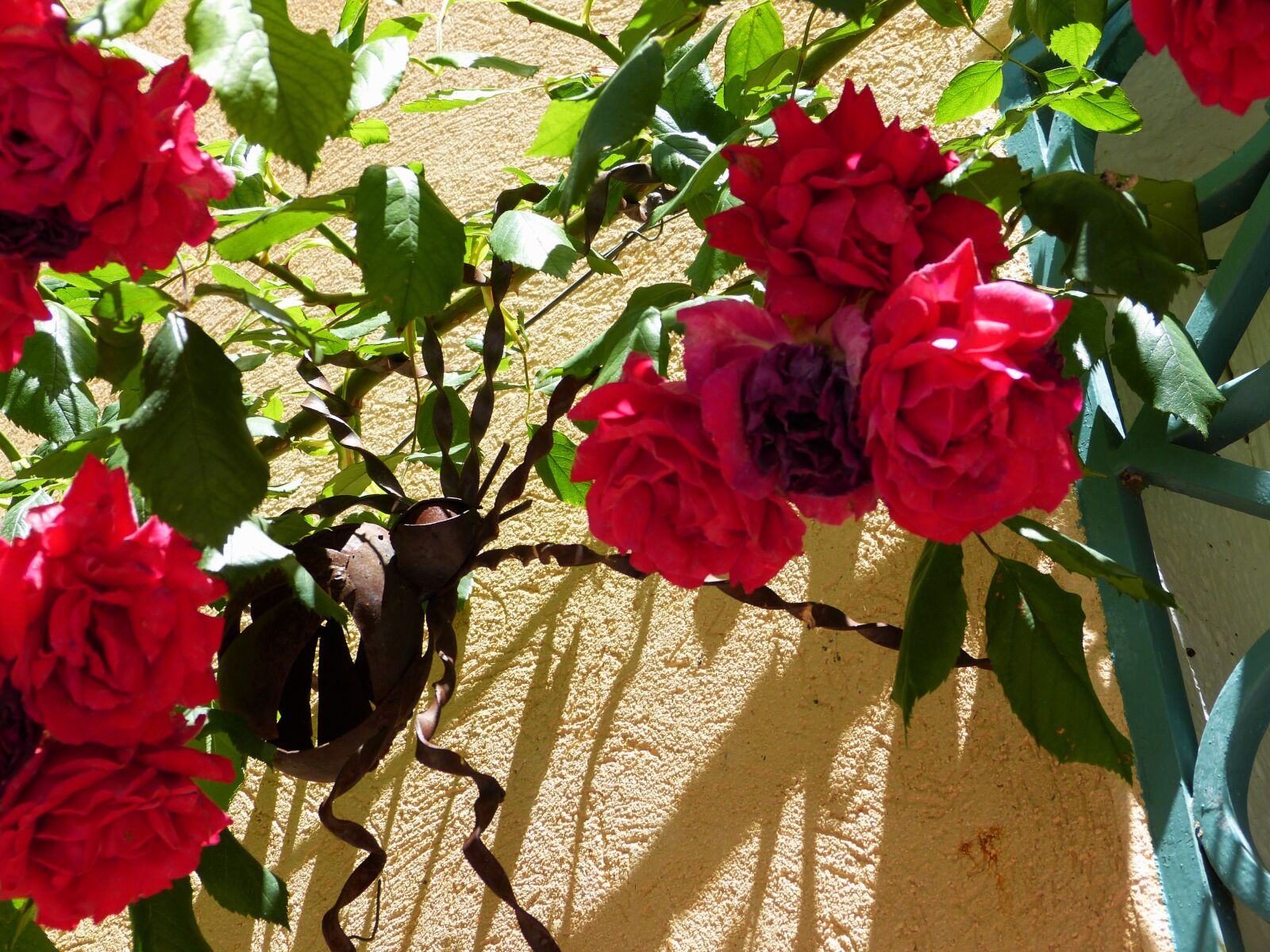 Panasonic Lumix DMC-FZ150 sample photo. Iron, red, roses, sculpture photography