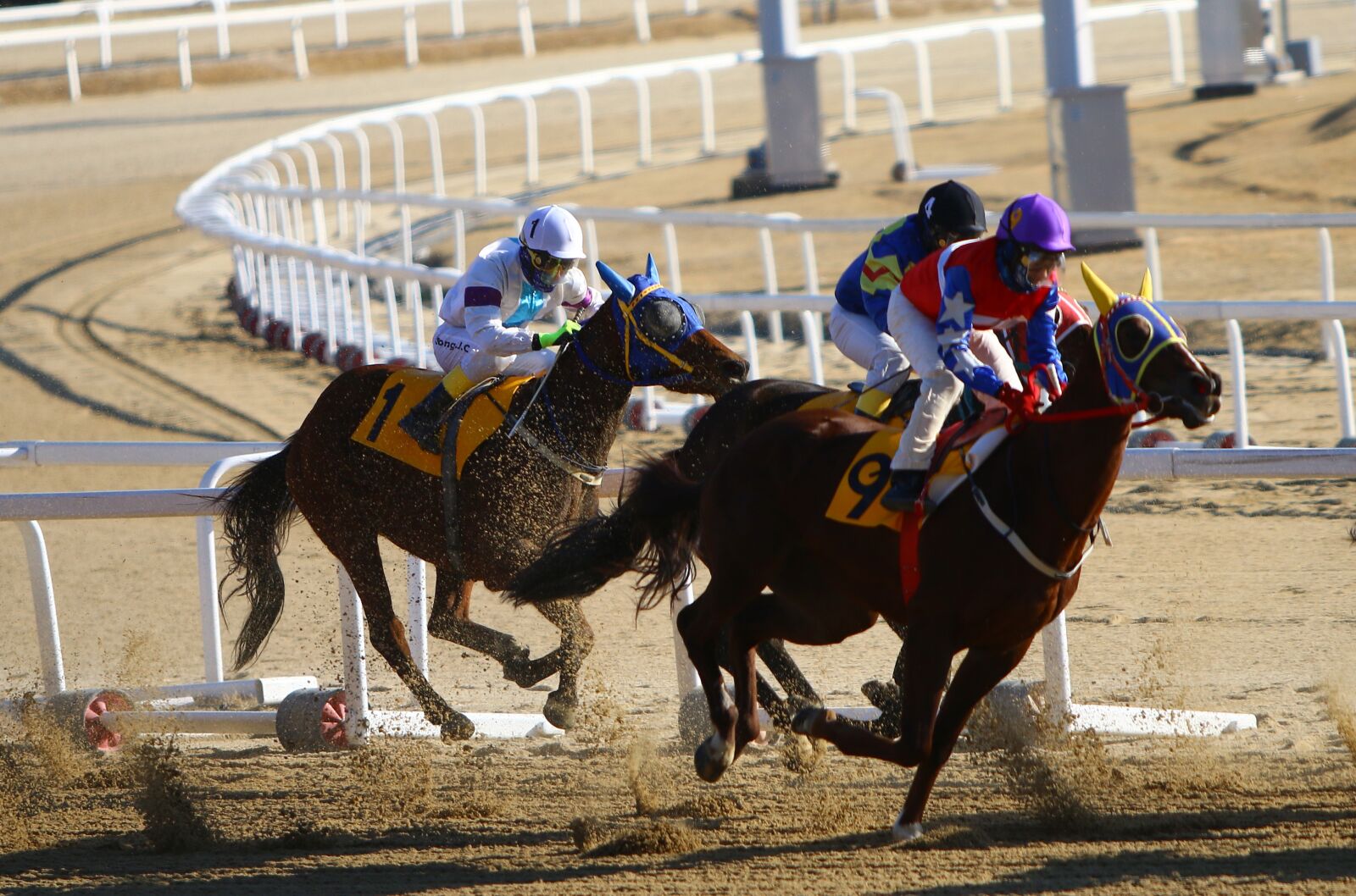 Canon EOS 70D + Canon EF 70-200mm F2.8L IS USM sample photo. Racing, horse racing, equestrian photography