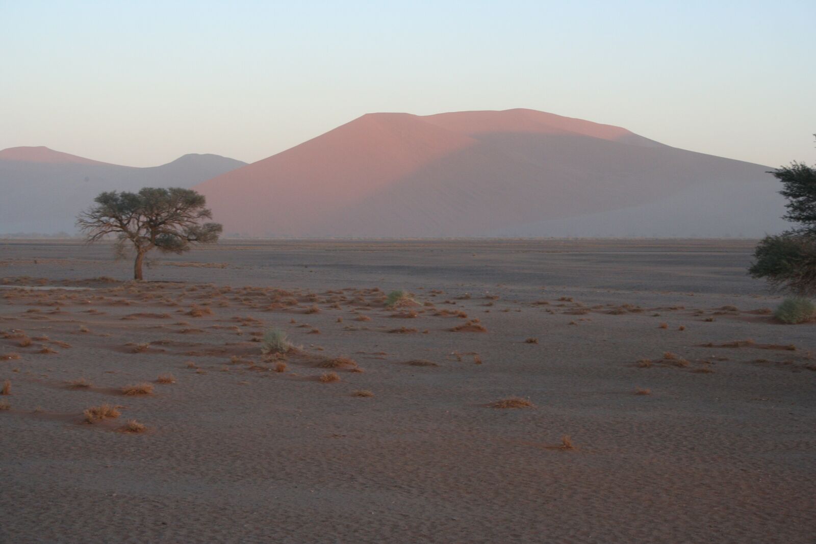 Canon EOS 350D (EOS Digital Rebel XT / EOS Kiss Digital N) sample photo. Sunrise, tree, desert photography