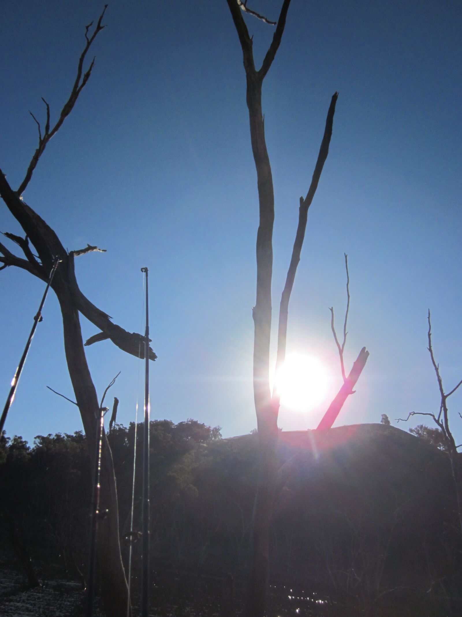 Canon PowerShot SD1300 IS (IXUS 105 / IXY 200F) sample photo. Trees, wyangala dam, sun photography