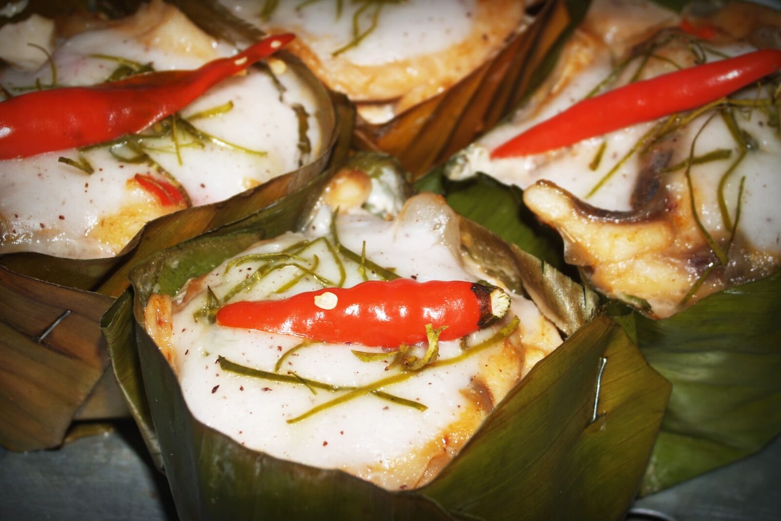 Olympus E-300 (EVOLT E-300) sample photo. Baked, chili, cooking, cuisine photography