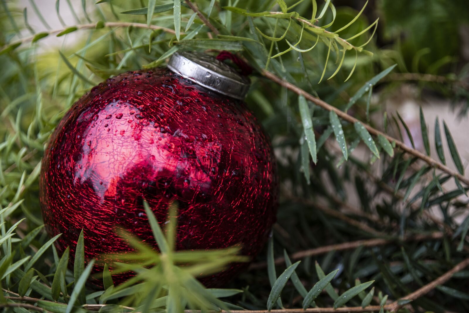 Tamron 28-300mm F3.5-6.3 Di VC PZD sample photo. Christmas ornament, bauble, decoration photography