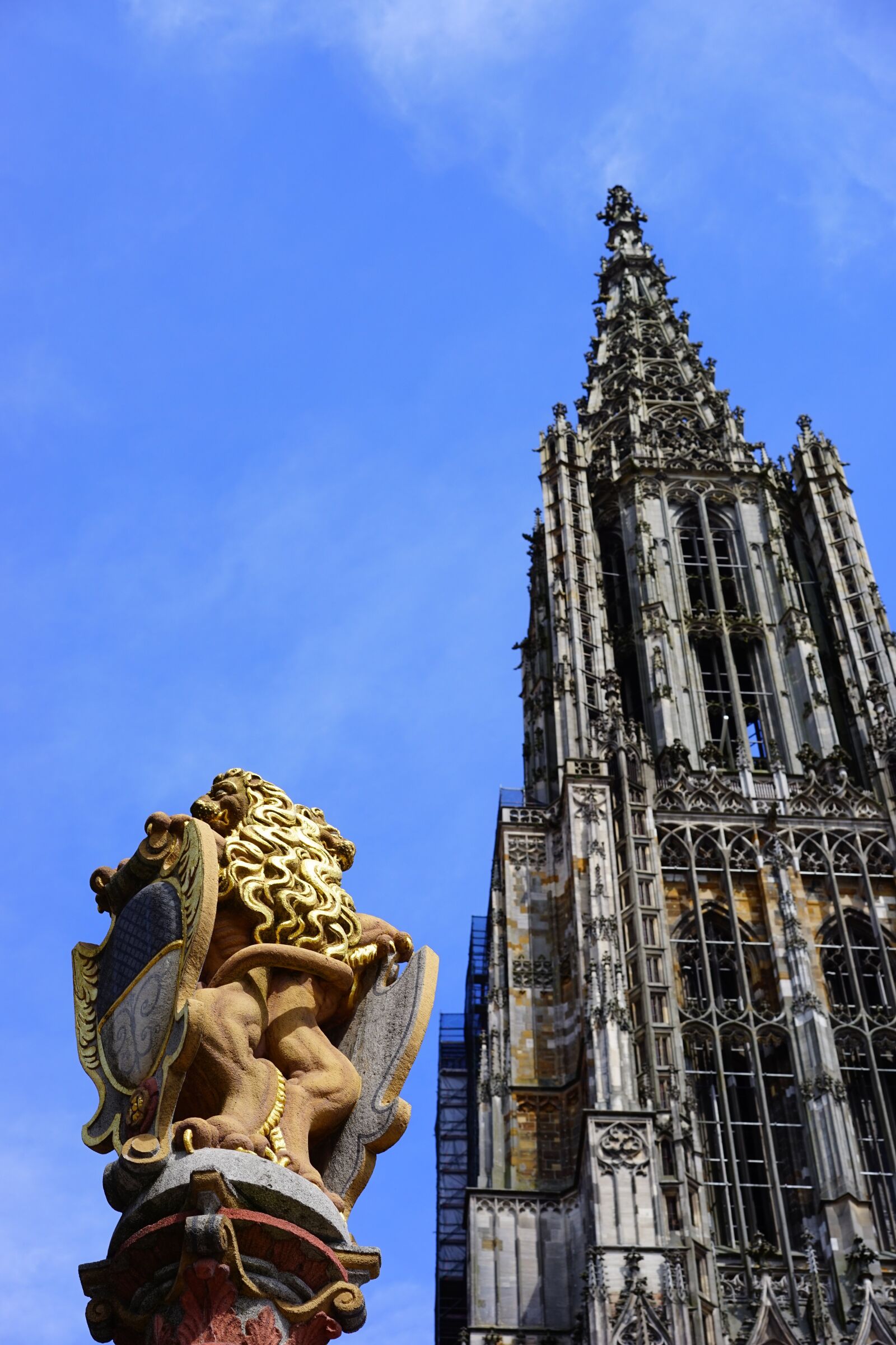 Sony a7 sample photo. Lion fountain, fountain, cathedral photography