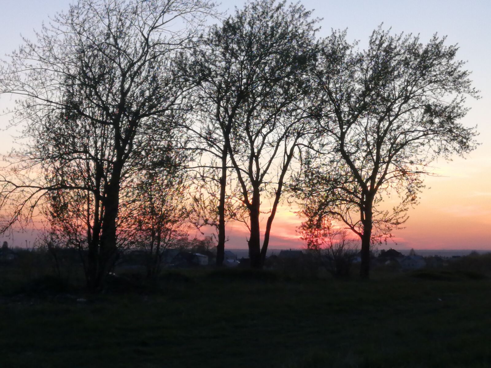 HUAWEI P30 LITE sample photo. Sunset, trees, walking photography