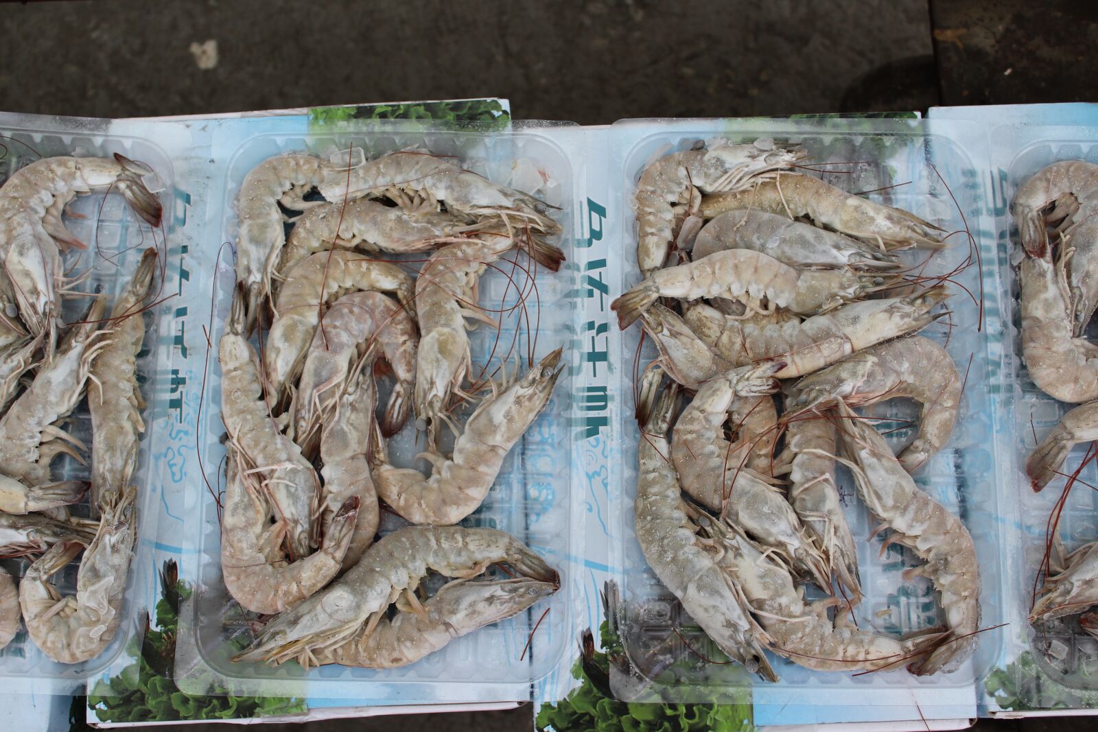 Canon EOS 1300D (EOS Rebel T6 / EOS Kiss X80) sample photo. Shrimp, prawns, frozen shrimp photography