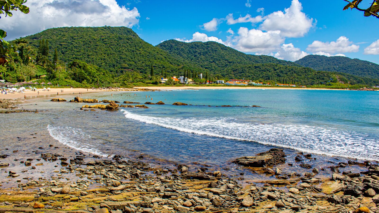 Canon EOS 1300D (EOS Rebel T6 / EOS Kiss X80) sample photo. Santa catarina, the tropical photography