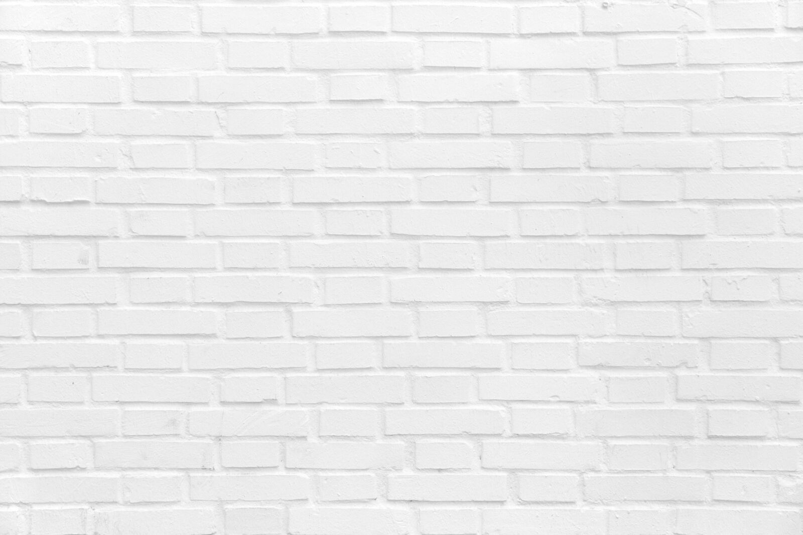 Canon EOS 7D sample photo. Wall, bricks, baird photography