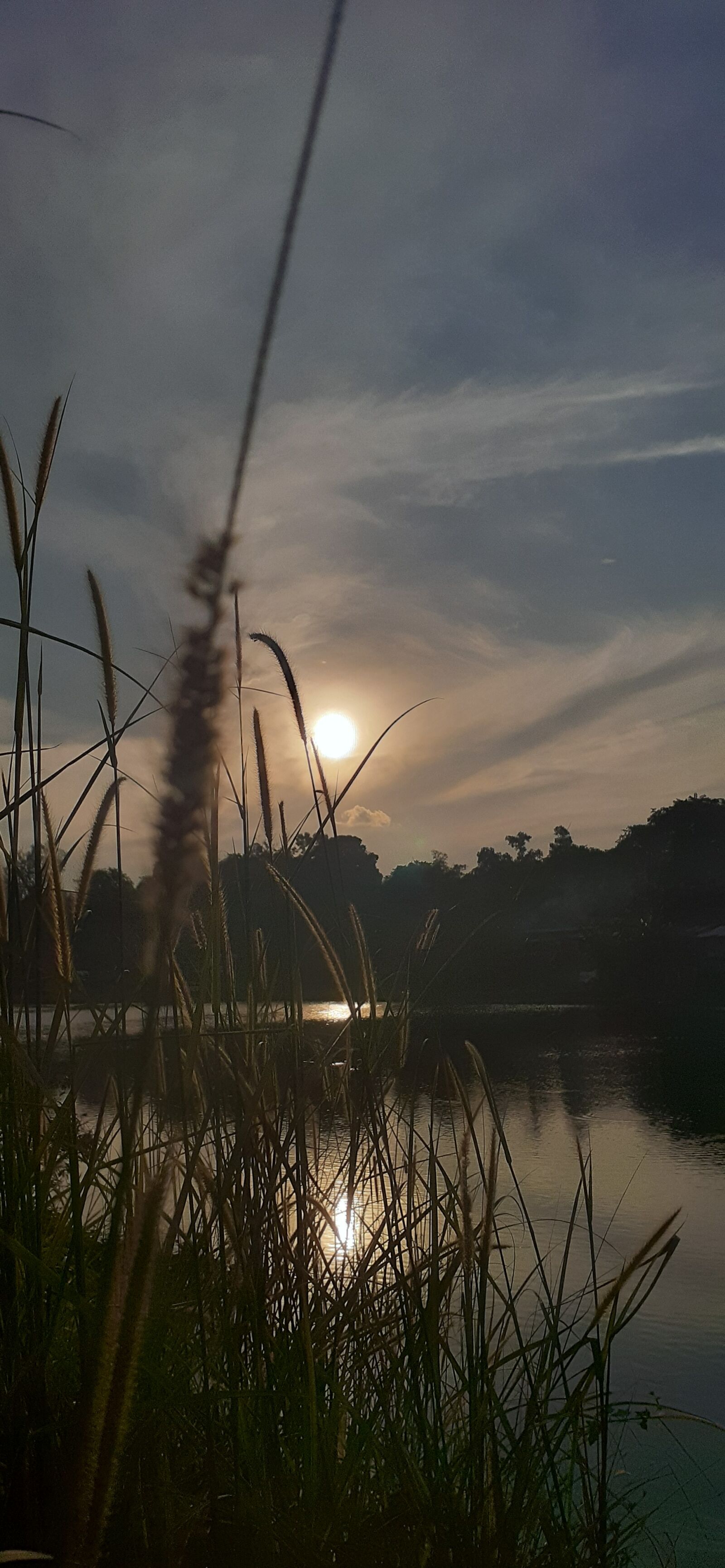Samsung Galaxy A20 sample photo. Grass, in, summer photography
