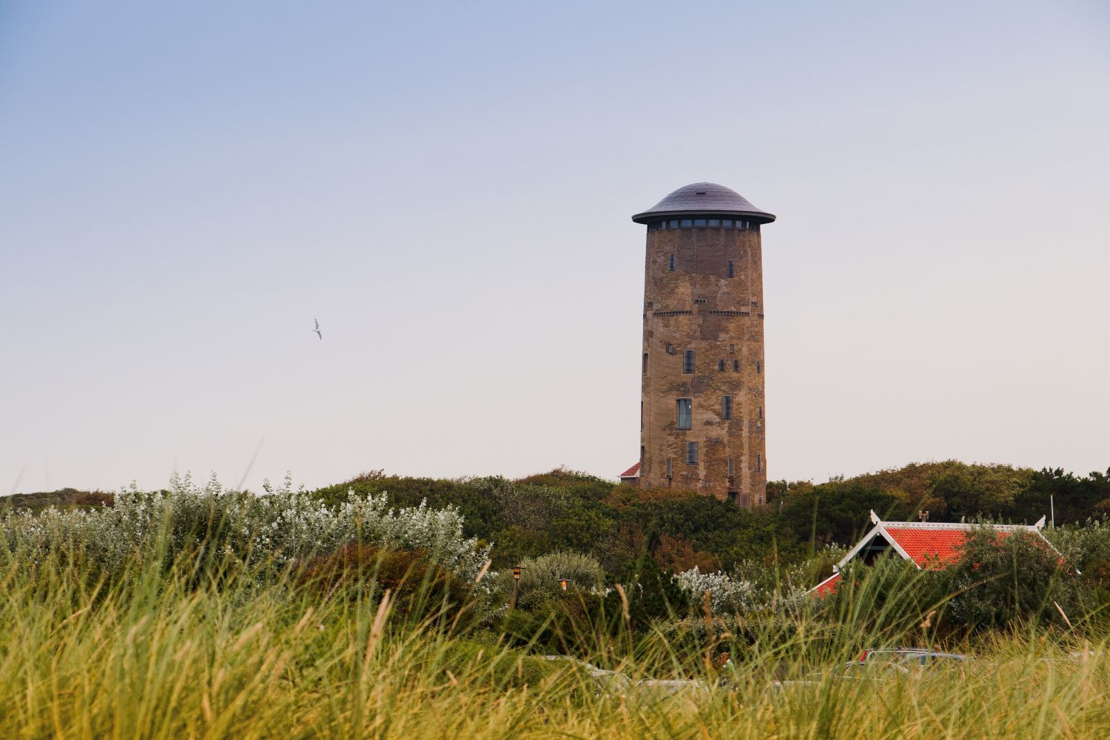 Canon EOS 80D sample photo. Netherlands, zeeland, coast photography