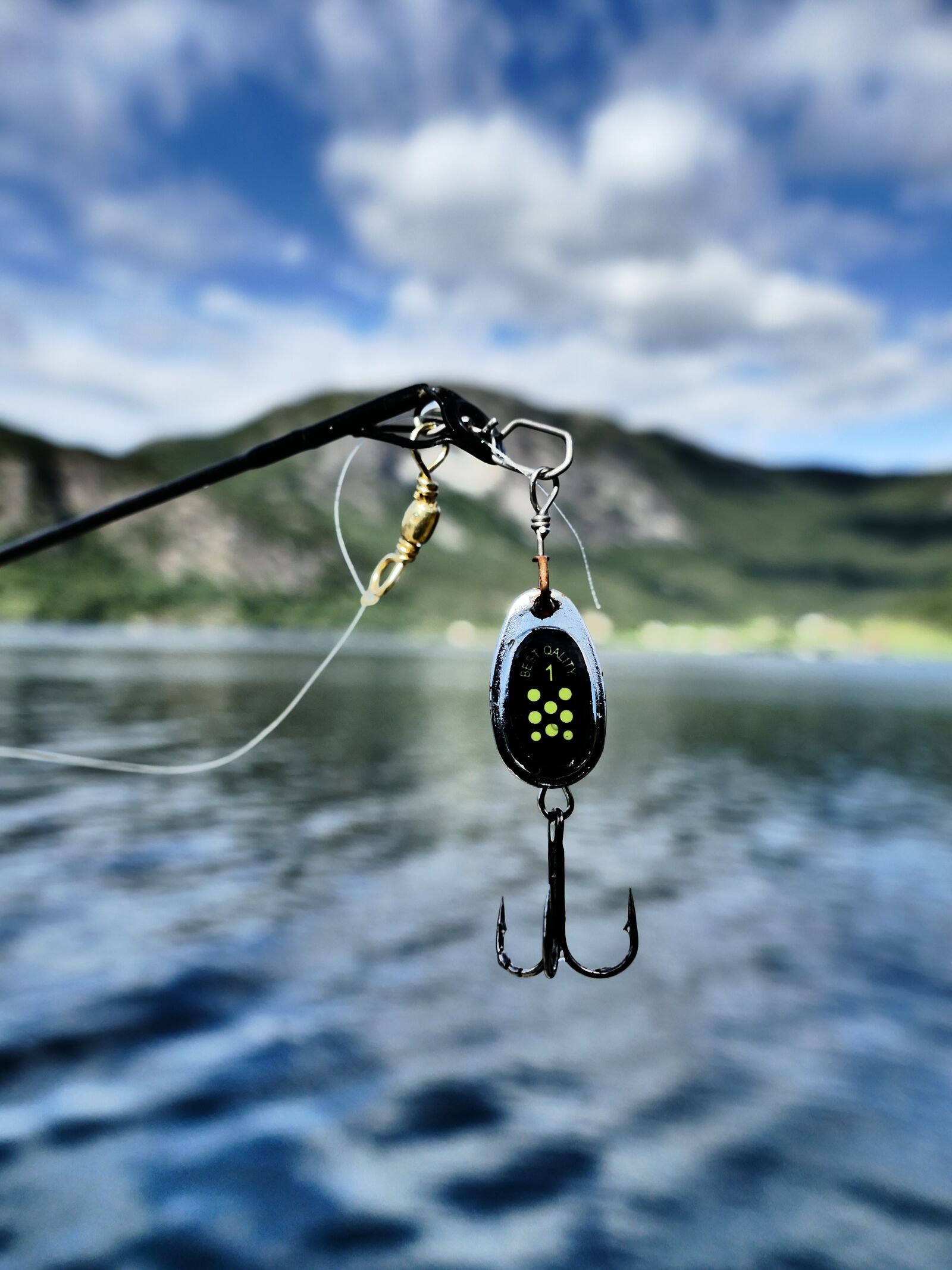 Panasonic Lumix DMC-FZ1000 sample photo. Fish, hook, bait photography