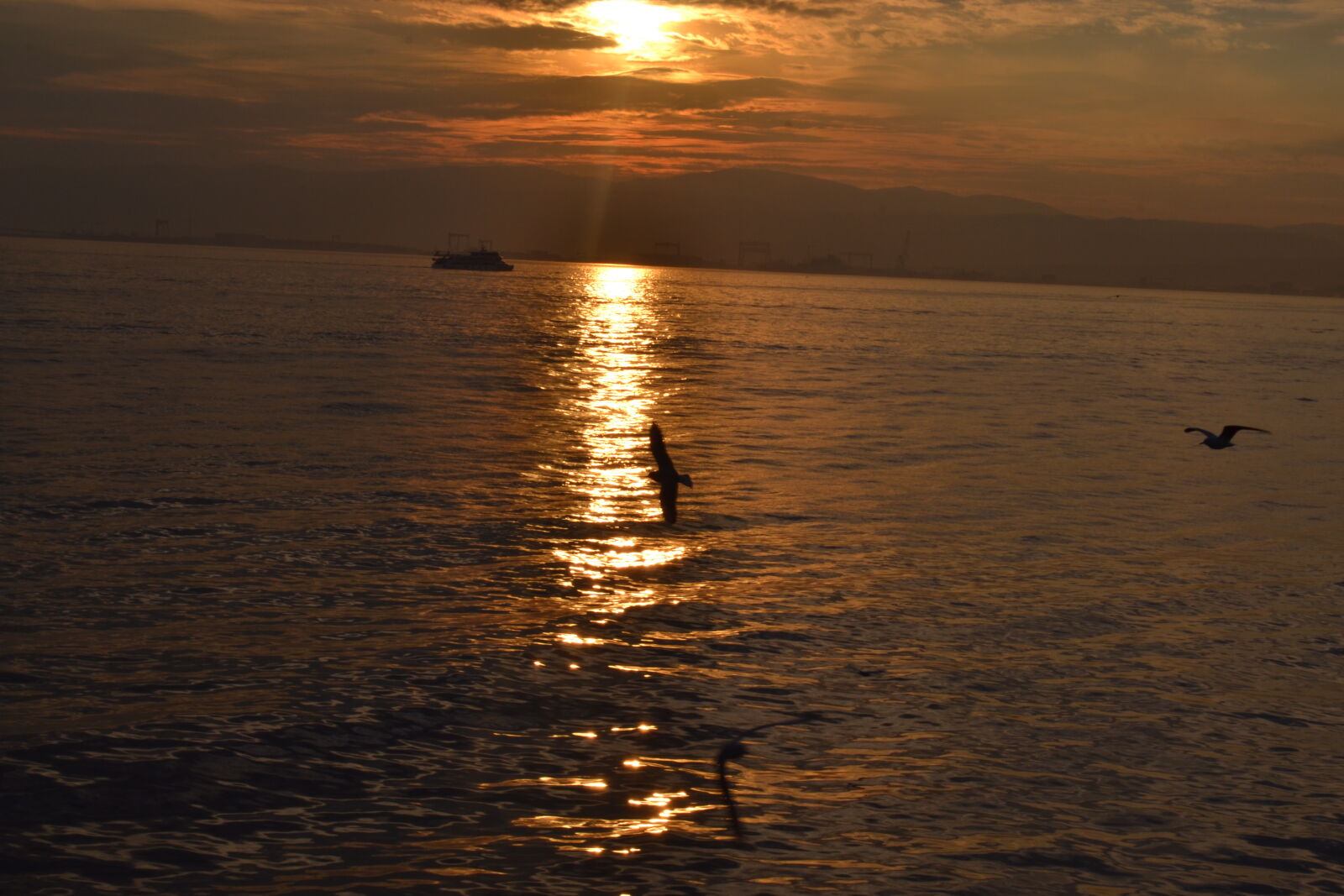Nikon D3100 sample photo
