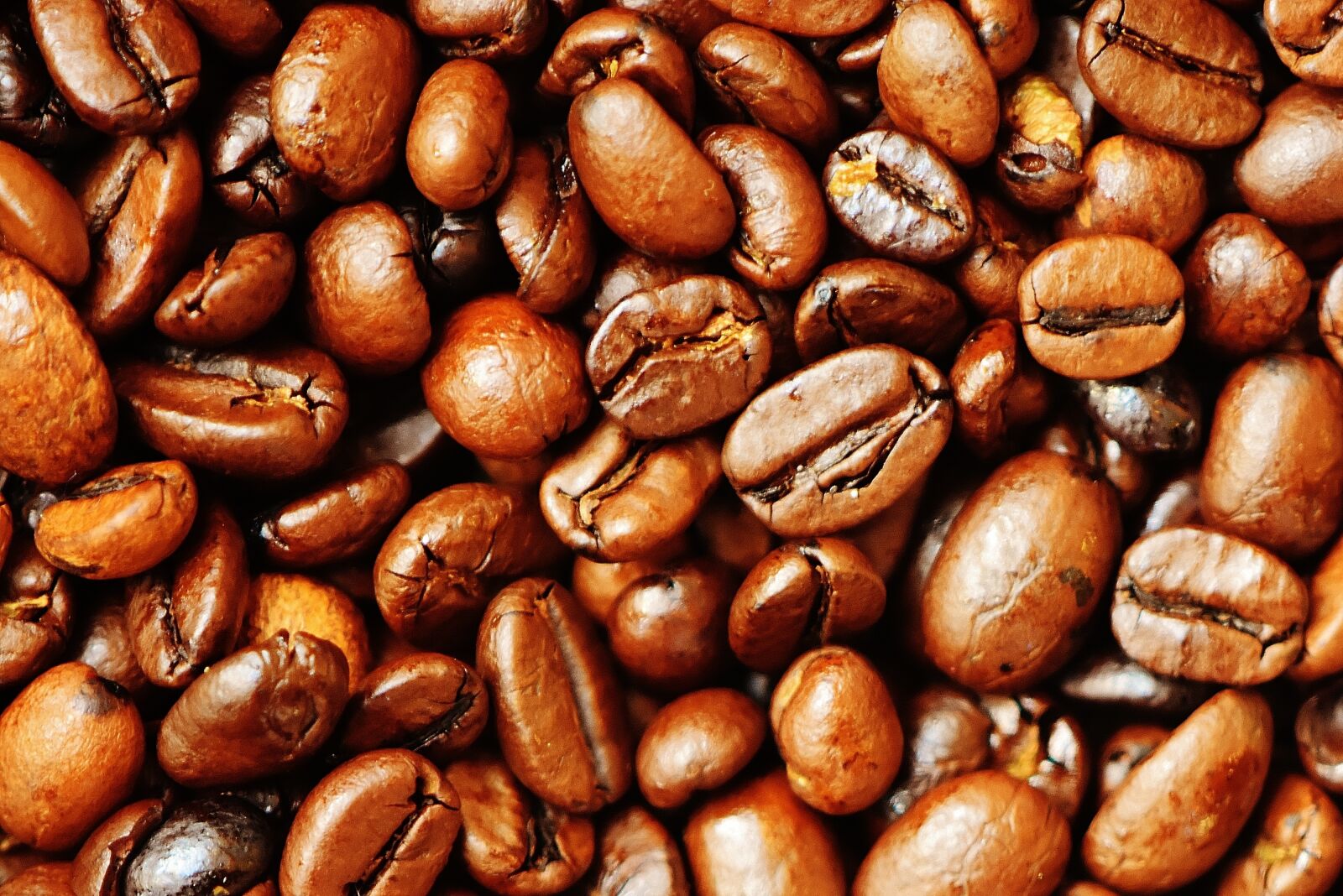 Nikon D7200 sample photo. Coffee, coffee beans, cafe photography