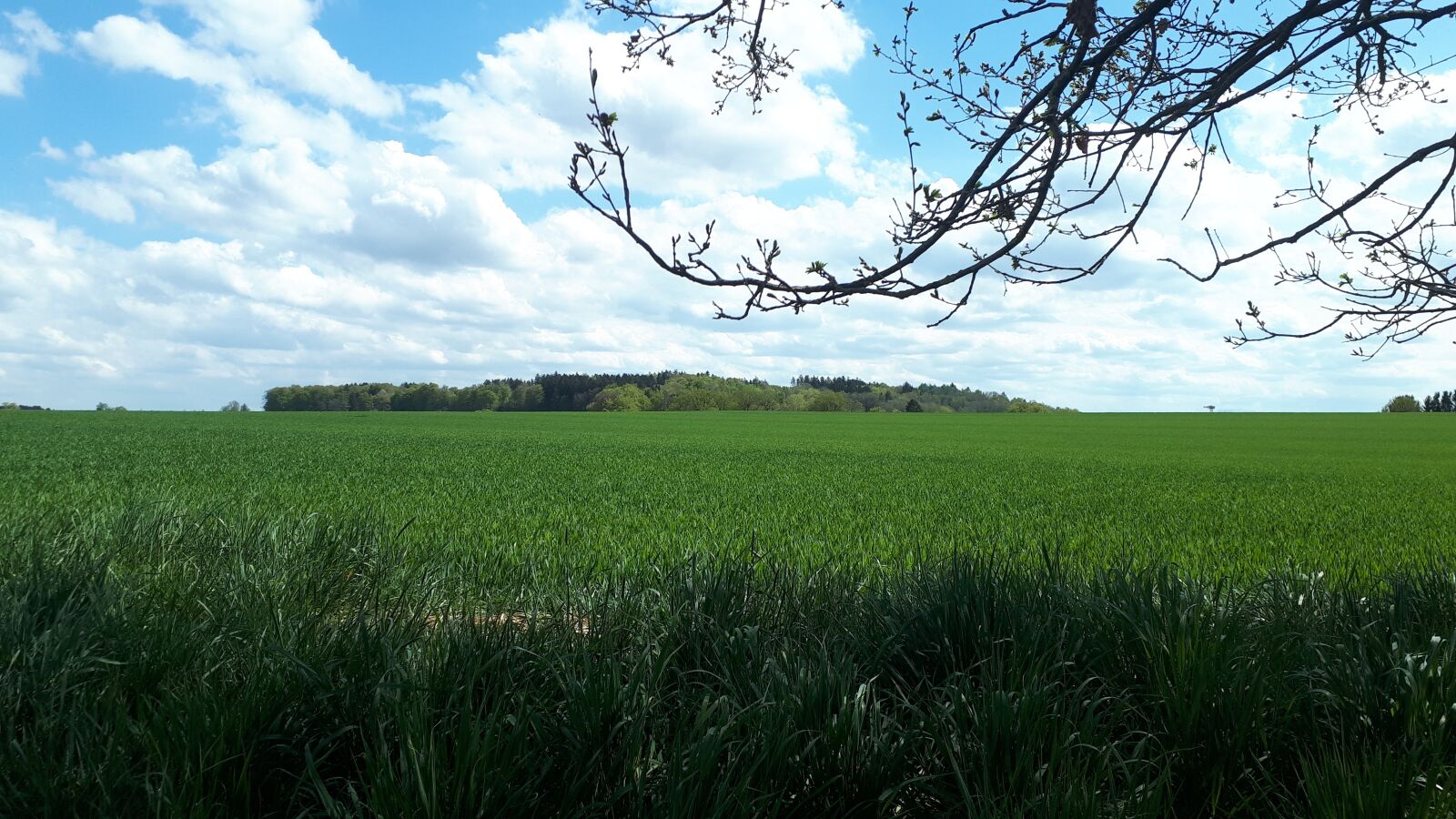 Samsung Galaxy A5(2017) sample photo. Landscape, clouds, field photography