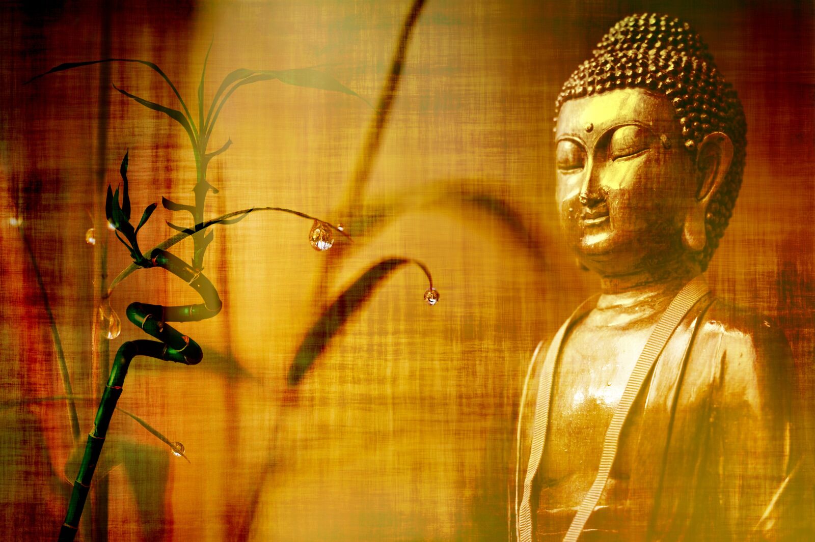 Nikon D3S sample photo. Bamboo, stationery, buddha photography