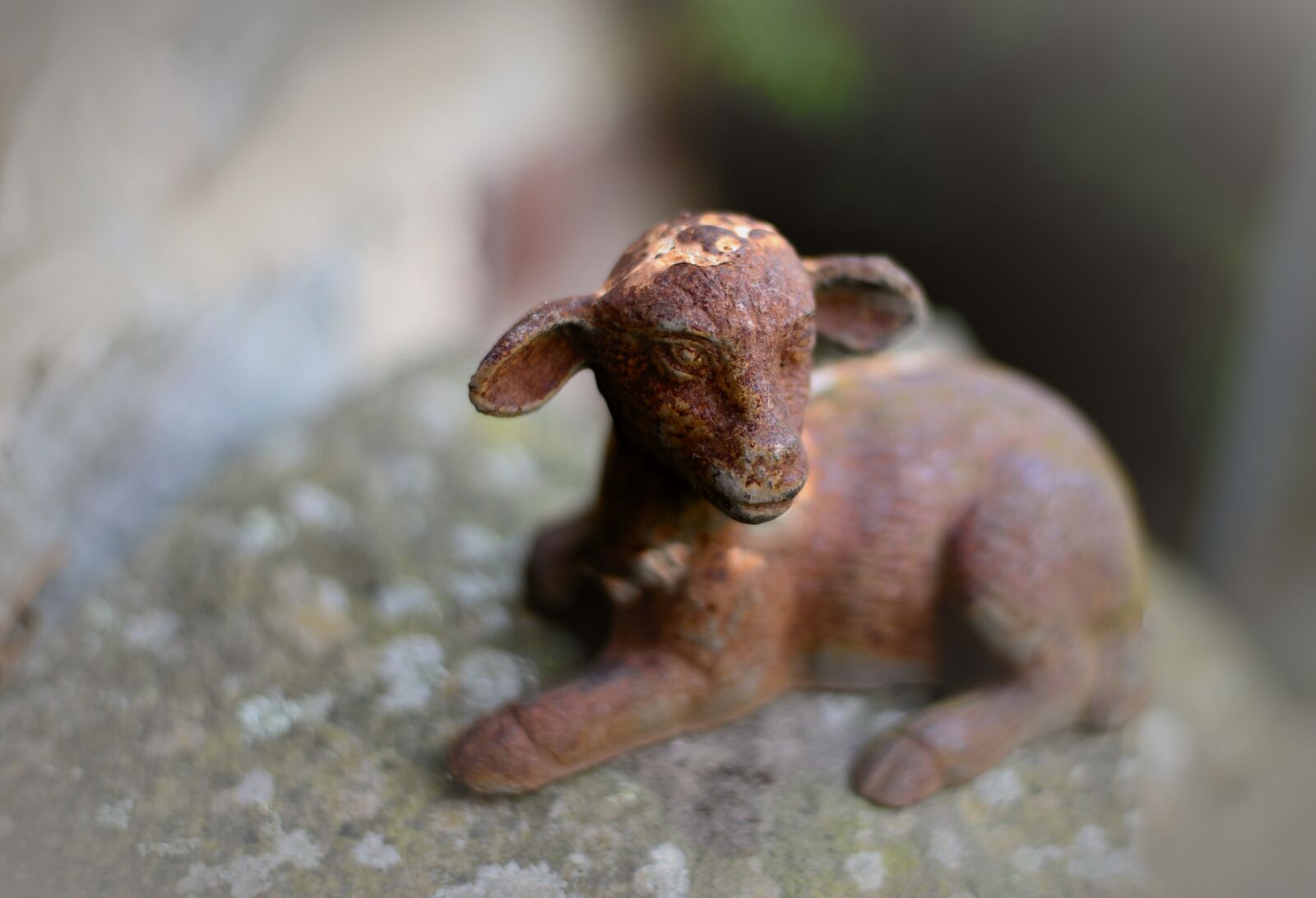 Nikon D610 sample photo. Passover, lamb, figure photography