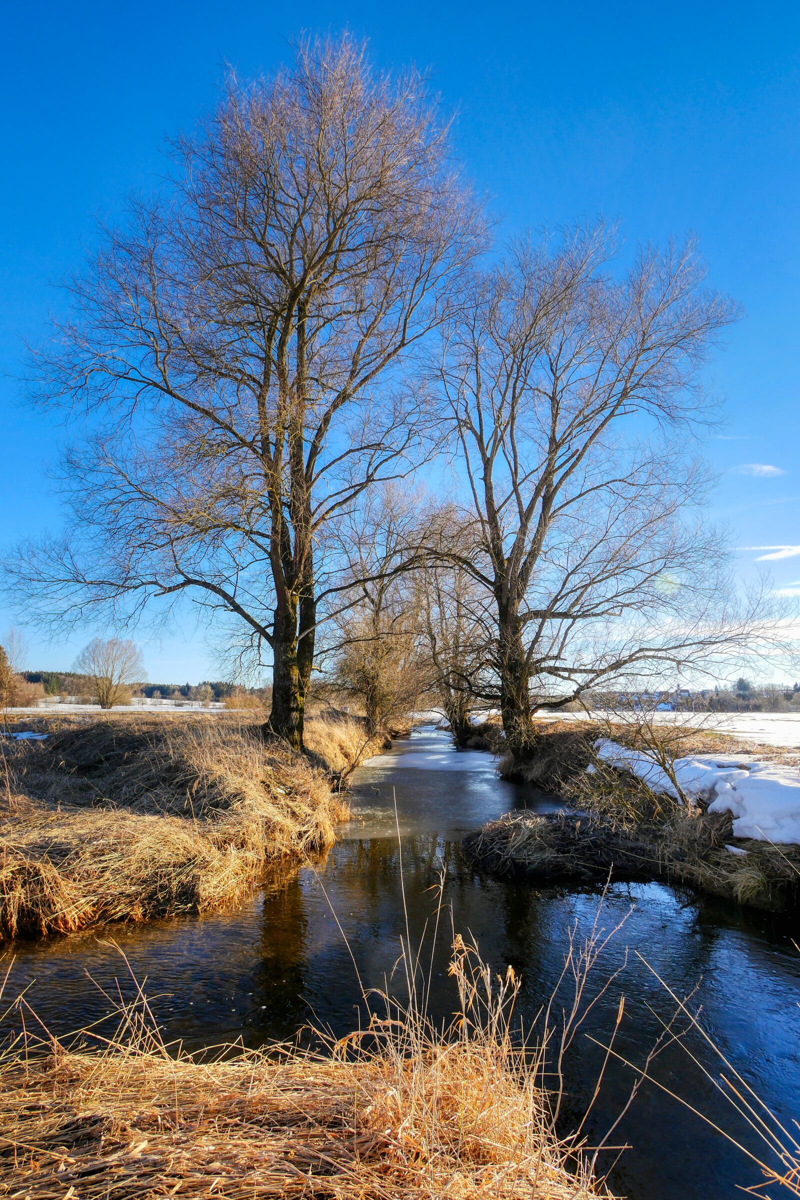 Panasonic Lumix DMC-GX8 sample photo. Bach, winter, creek photography