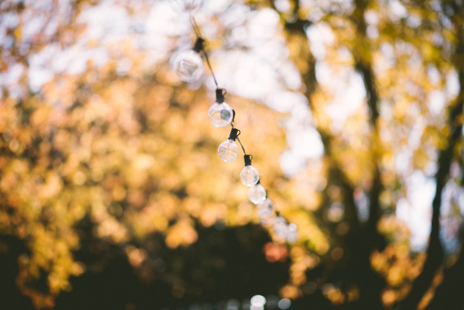Nikon D610 sample photo. Depth of field, light photography