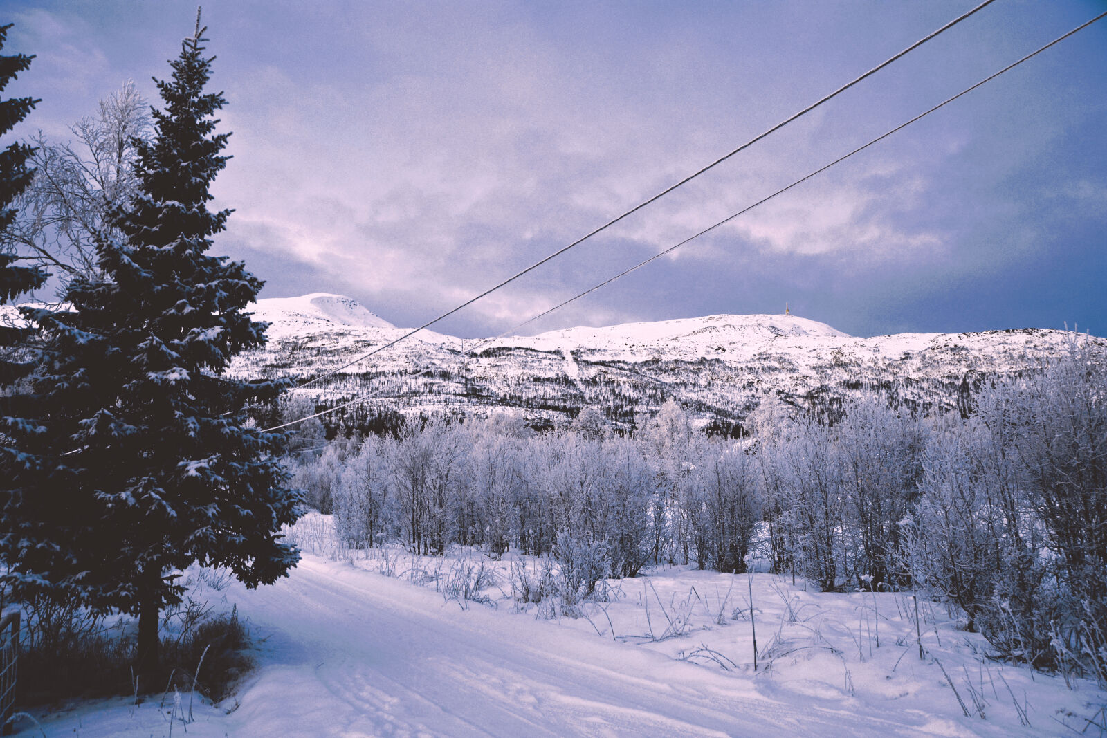 Nikon D5200 sample photo. Calm, mountain, mountains, norway photography