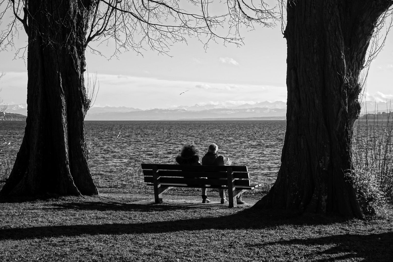 Sony E 16-50mm F3.5-5.6 PZ OSS sample photo. Human, black and white photography