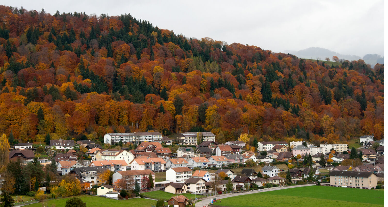 Canon EF-S 17-85mm F4-5.6 IS USM sample photo. Autumn, switzerland, trees, village photography