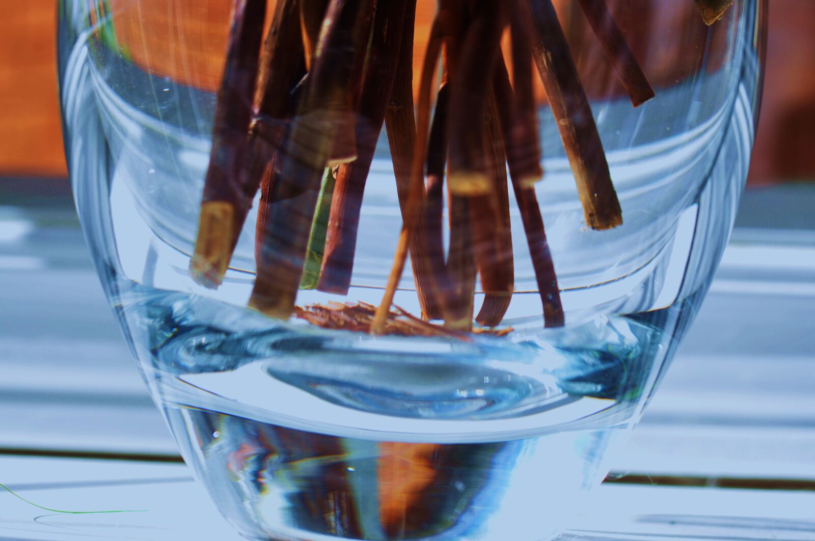 Nikon D90 sample photo. Glass, water, wine photography