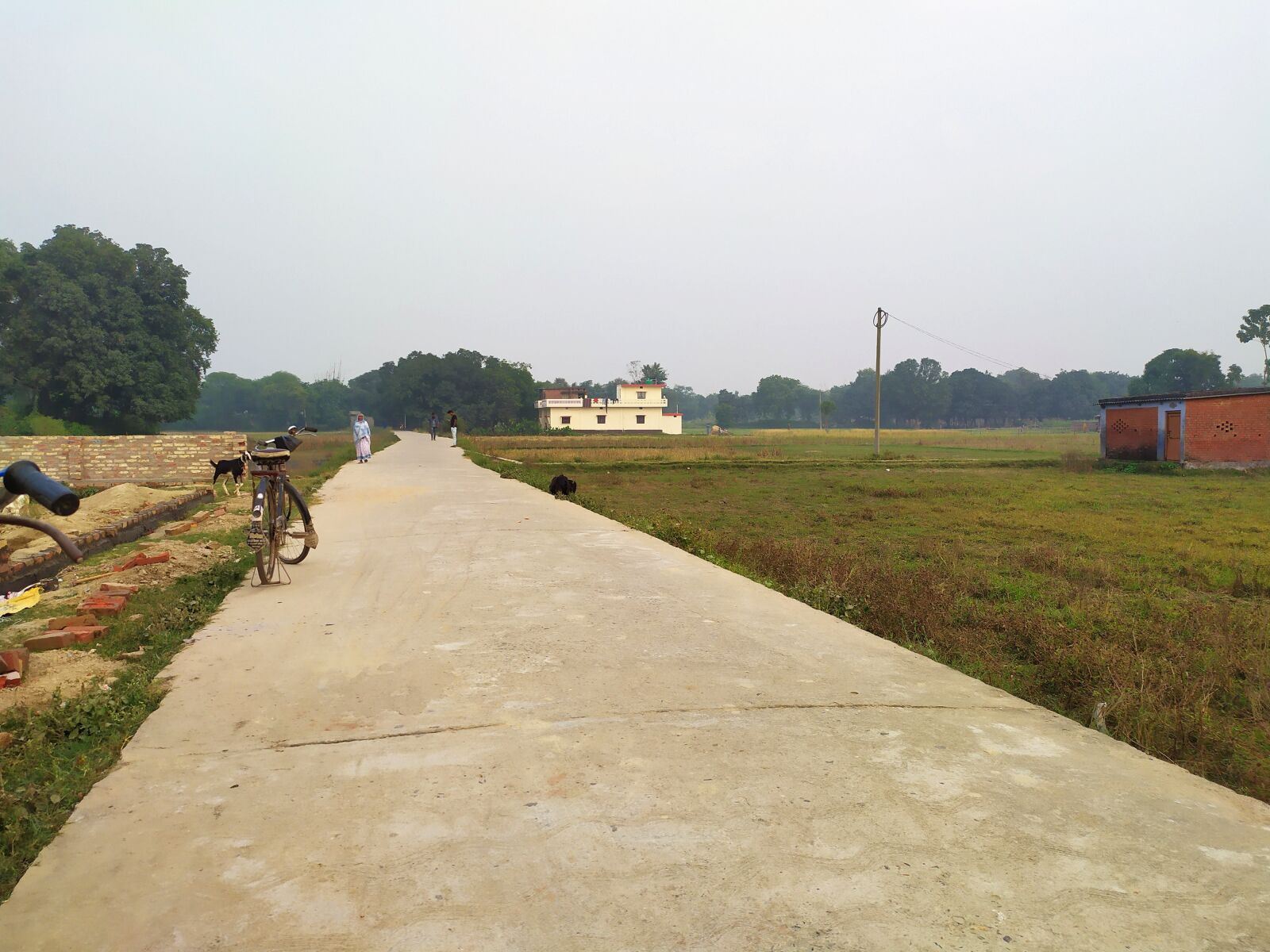 Xiaomi Redmi Note 7 sample photo. Village road, pathway, nature photography