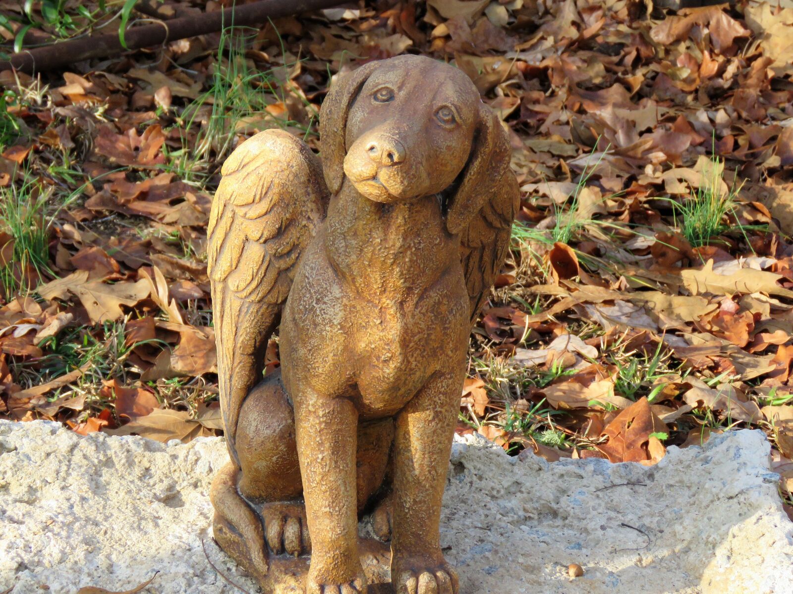 Canon PowerShot SX60 HS sample photo. Nature, animal, yard art photography
