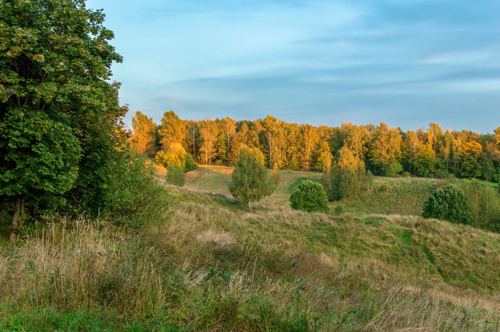 Nikon D3200 sample photo. Landscape, field, autumn photography