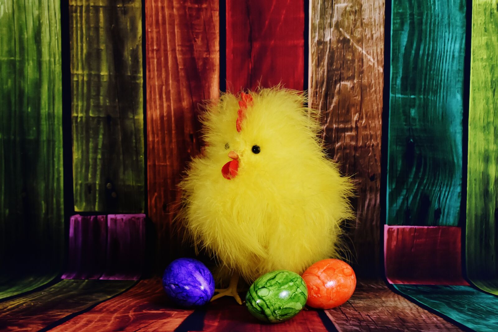 Nikon D7200 sample photo. Chicken, chicks, easter photography