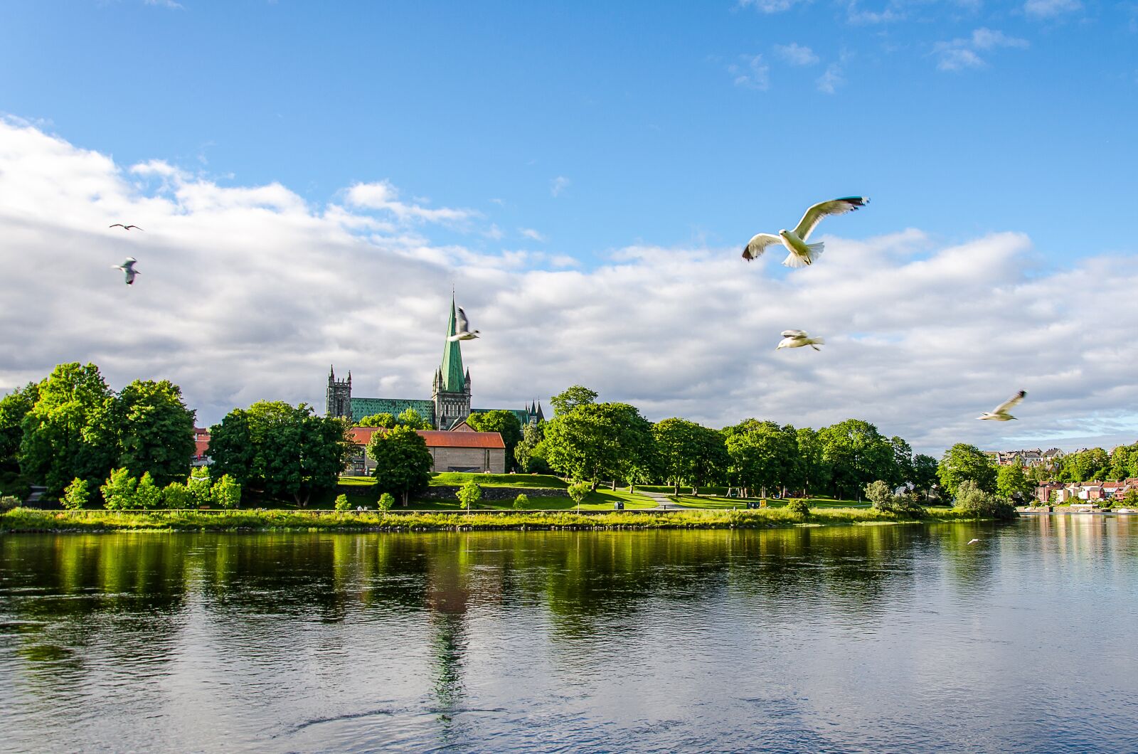 Nikon D7000 sample photo. Church, trondheim, norway photography