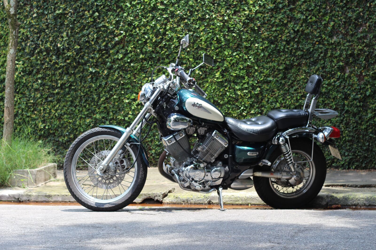 Canon EOS 700D (EOS Rebel T5i / EOS Kiss X7i) + Canon EF 50mm F1.8 II sample photo. Virago, yamaha, estradeira photography