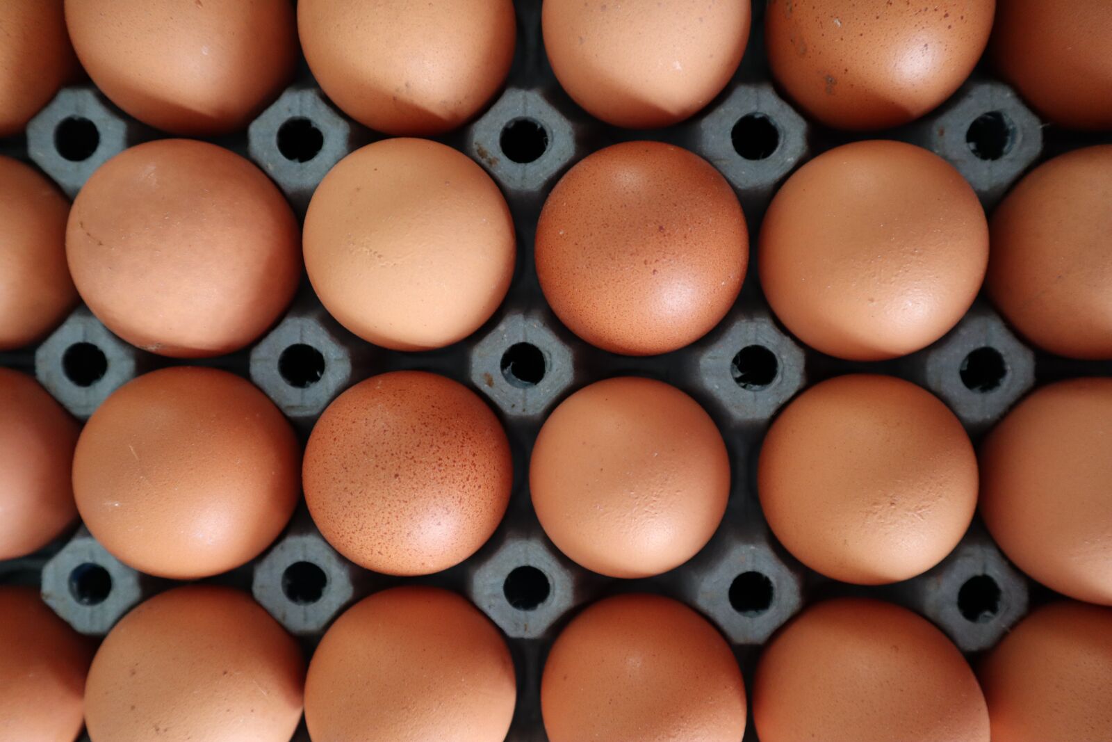 Canon EOS M50 (EOS Kiss M) sample photo. Egg, egg cup, paperboard photography
