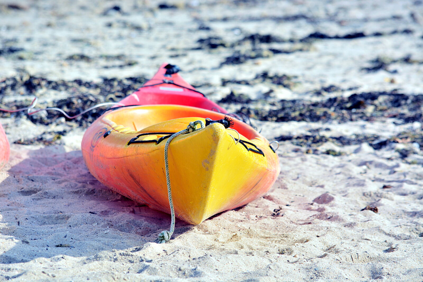 Nikon D5200 sample photo. Canoe, couleurs, kayak, le photography