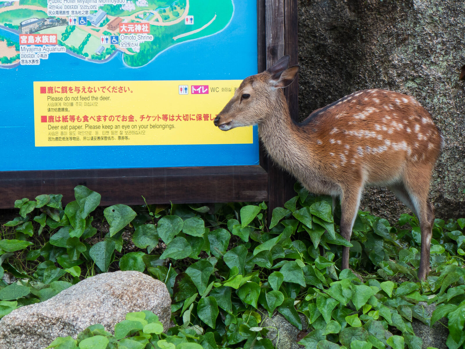 Panasonic Lumix DMC-LX7 sample photo