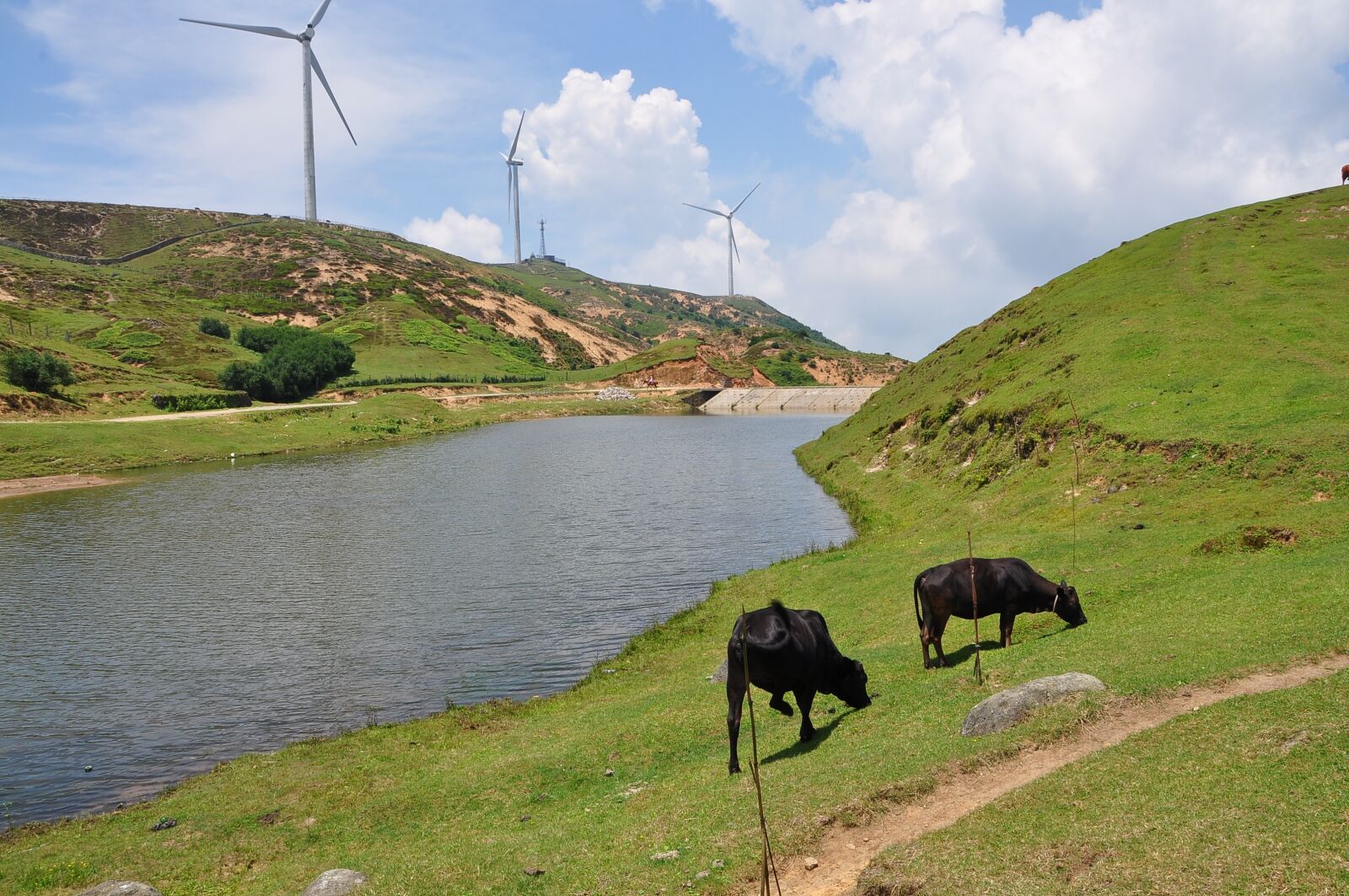 Nikon D90 sample photo. Landscape, water, farm photography