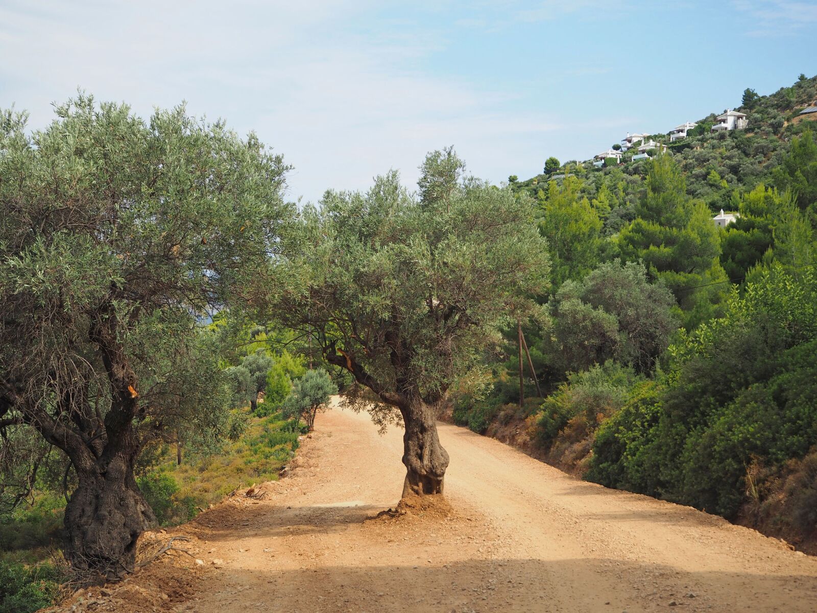 Olympus OM-D E-M10 sample photo. Greece, mountains, way photography